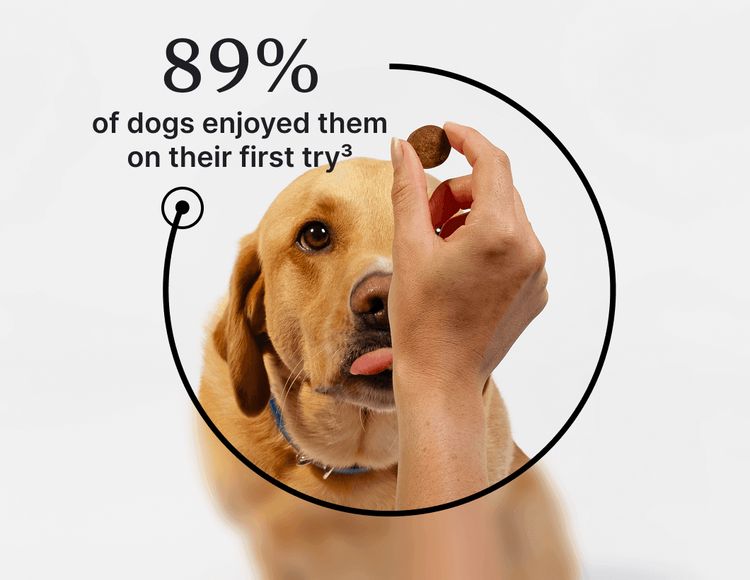 89% of dogs enjoyed them on their first try