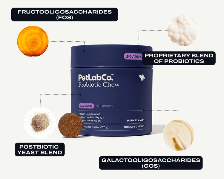 Tribiotic blend ingredients around the Probiotic Chew tub