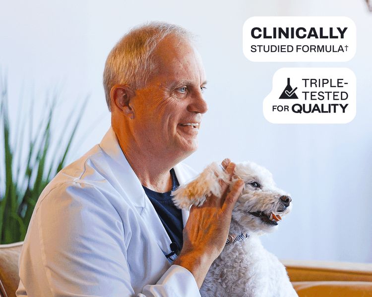 Pet nutritionist with a dog